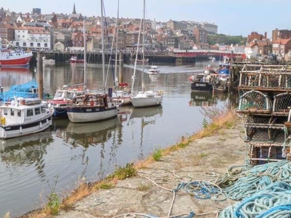 Oystercatcher Cottageウィットビー エクステリア 写真